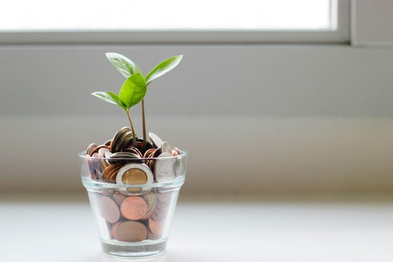 Betriebskosten Startup – Pflanze wächst aus Münzen im Glas